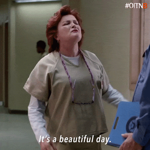 Streaming Orange Is The New Black GIF Find & Share on GIPHY