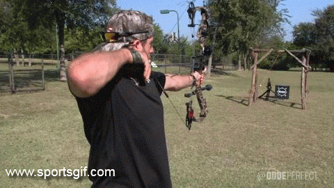 giphy.gif