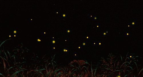  fireflies GIF