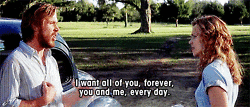 the notebook animated GIF