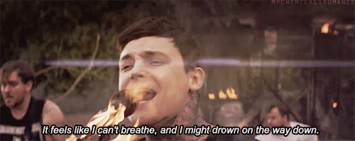 the amity affliction gif find amp share on giphy the amity affliction gif find amp share on giphy