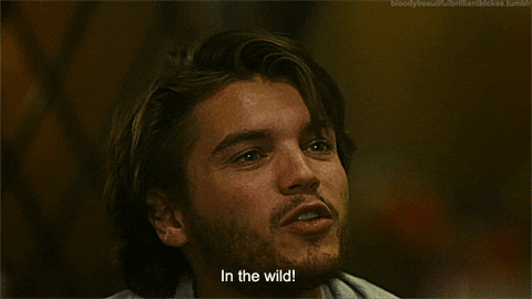 Into The Wild Lisas Edit Gif Find Share On Giphy