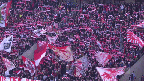 Football Soccer GIF by 1. FC Köln