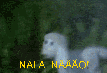 giphy.gif
