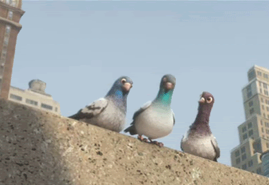 Pigeon, la paloma de Google busca los resultados locales más relevantes y los incluye en las SERPs para priorizar estos resultados frente a otros. Pigeon, la paloma de Google busca los resultados locales más relevantes y los incluye en las SERPs para priorizar estos resultados frente a otros.