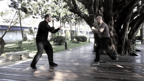 the rum soaked fist: internal martial arts forum • View topic - Curtis  Brough March 2019 US Tour