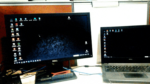 giphy.gif