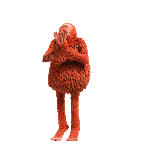 giphy.gif