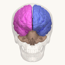 Animated GIF - Find & Share on GIPHY