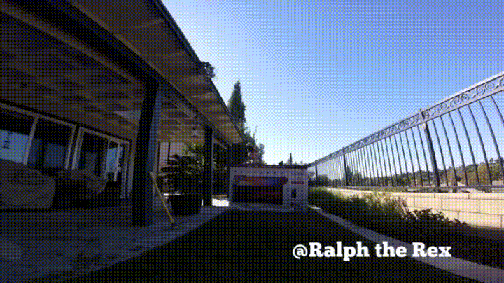 Turkey GIF