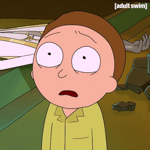 Season 3 Episode 301 GIF by Rick and Morty - Find & Share on GIPHY