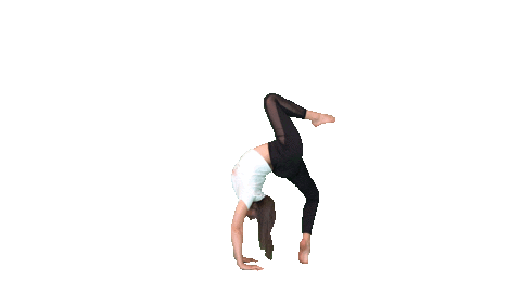 Yogabody Yoga Trapeze Stand » Fitness Gizmos