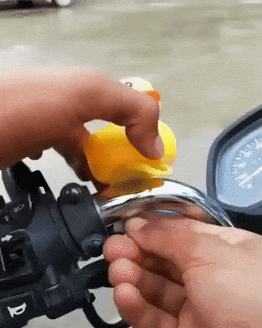 Safety first in funny gifs