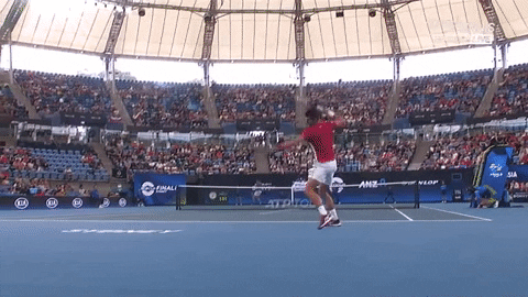 Novak Djokovic smashes the racquet