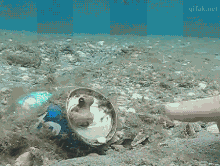 https://media.giphy.com/media/QbnGuXny8Jfb2/giphy.gif