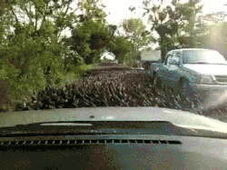 httpswwwyoutubecomwatchvi60sliow6fa