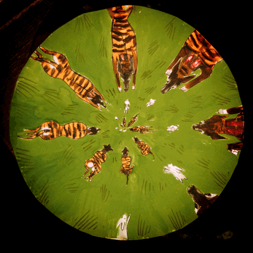 Dog Illustration GIF Find & Share on GIPHY