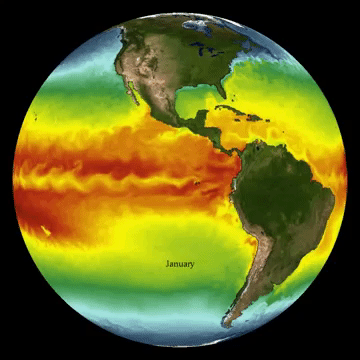 Variazioni della temperatura Superficiale Pacifico - Gif da un video del NOAA, agenzia federale statunitense che si interessa di meteorologia, basato su dati satellitari !