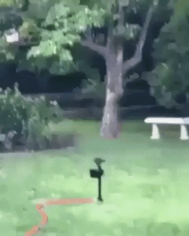 Skynet has arrived in funny gifs