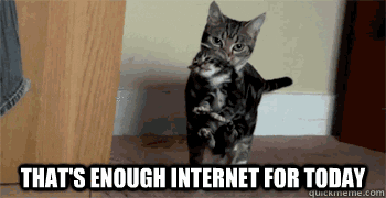 cat internet thats enough internet for today