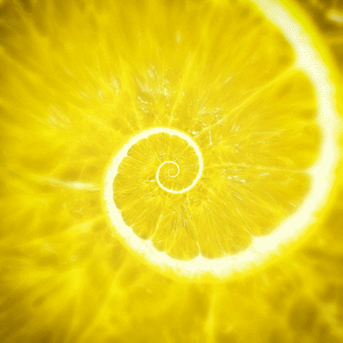 Yellow Loop GIF - Find & Share on GIPHY