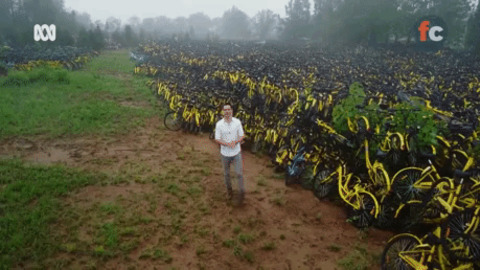 Bike graveyard in China gif