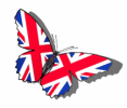 UK butterfly