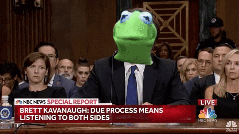 Brett Kavanaugh GIF by Leroy Patterson