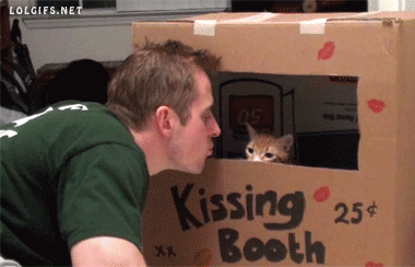 The Kissing Booth netflix film meme gify