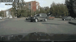 Traffic Dispute GIF