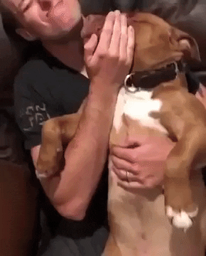 Biggest sneeze ever in funny gifs