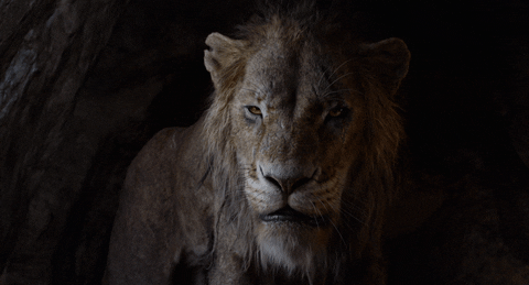 The Lion King GIF by Walt Disney Studios - Find & Share on GIPHY