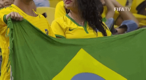 torcedores brasileiros em um jogo de futebol