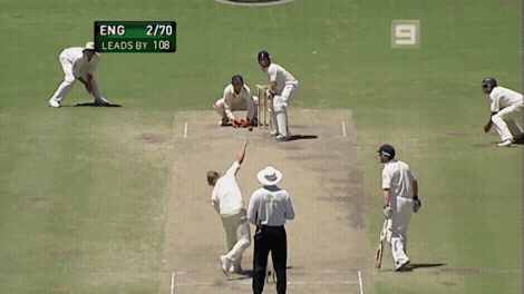 cricket sounds gifs cricket sounds gifs