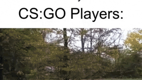 WW3 and CSGO players gif