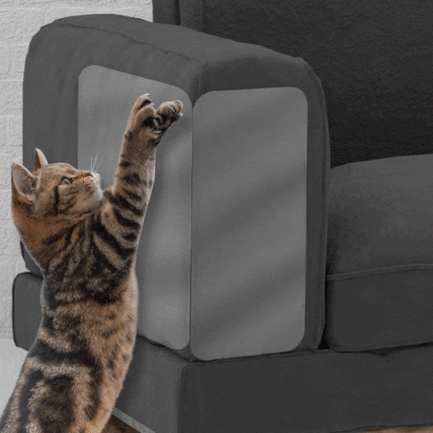 Anti-Cat Scratch Stick-On Shield