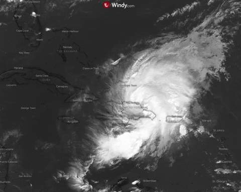photo: Hurricane Isaias ; licence: Windy.com