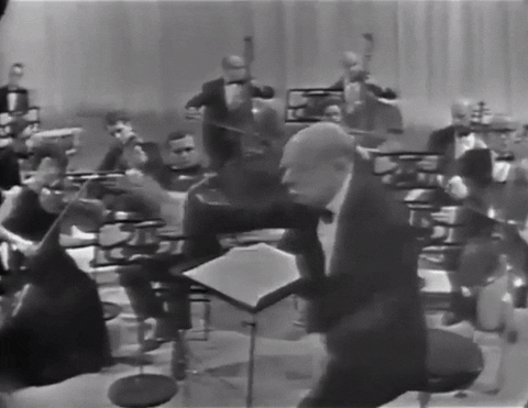 Conductor GIF