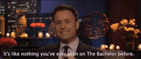 Talking Chris Harrison GIF - Find & Share on GIPHY