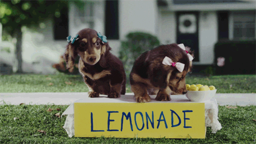 Image result for Lemonade Day gif