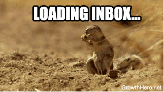A squirrel panicking finding out there are 3502 unread email