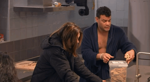 giphy-downsized-large.gif