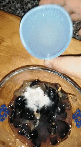 giphy.gif