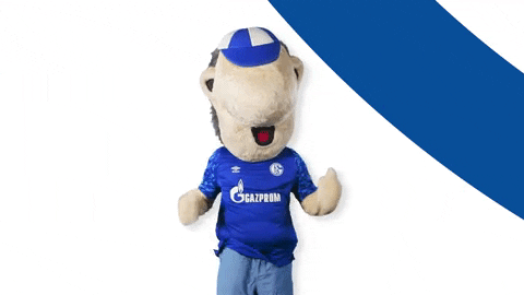 Happy German Soccer GIF by FC Schalke 04 - Find & Share on ...