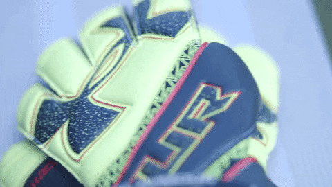 gamecock gloves under armour