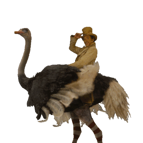 Dolittle (Robert Downey Junior) riding an ostrich and waving his hat
