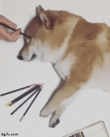 How to Create Hyper Realistic Drawings Tutorial | Shiba_mugen SHiba Inu Dog Hyperrealistic Drawing