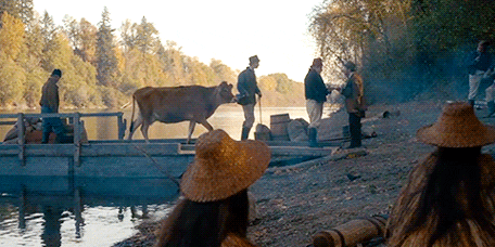 First Cow GIF by A24 - Find & Share on GIPHY