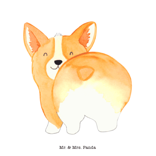 Dog Shaking GIF by Mr. & Mrs. Panda Find & Share on GIPHY