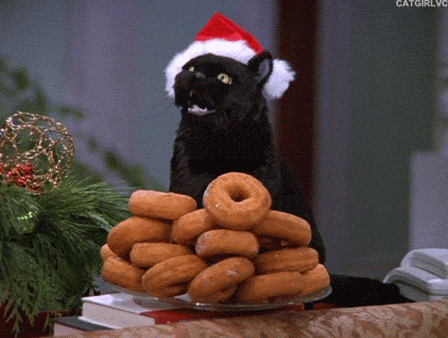 Christmas Cat GIFs - Find & Share on GIPHY